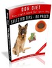 Thumbnail Dog Diet The Right Food For Your Dog MRR Thumbnail Dog Diet The Right Food For Your Dog MRR
