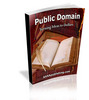 Thumbnail Public Domain Turning Ideas to Dollar (PLR)