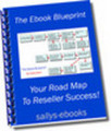 Thumbnail ebook blueprint MRR
