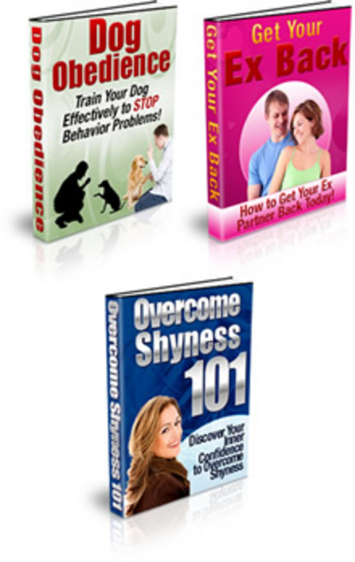 Product picture  3 plr reports.zip