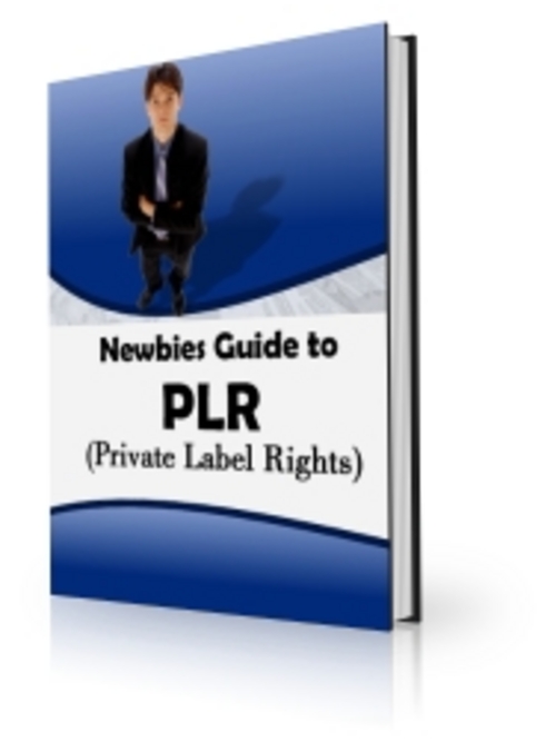 Product picture Newbies Guide to PLR .zip