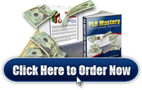 Product picture PLR Mastery for Internet Marketers.zip