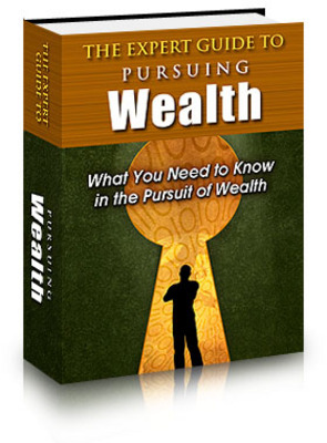 Product picture The Expert Guide to Pursuing Wealth PLR