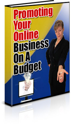 Product picture Promotion On Budget MRR