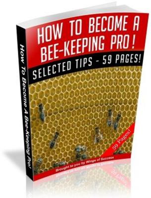 Product picture How To Become A Bee-Keeping Pro! MRR