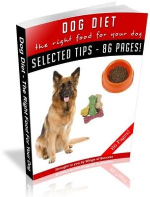 Product picture Dog Diet The Right Food For Your Dog MRR