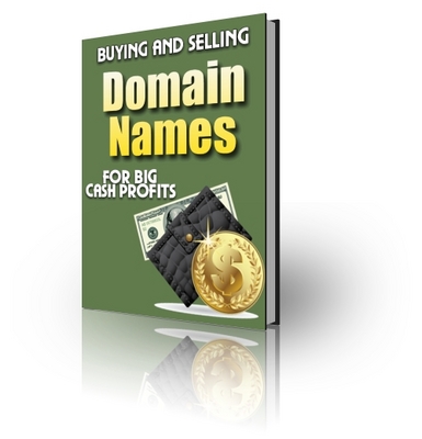 Product picture Buying and Selling  Domain Names For Big Cash Profits PLR