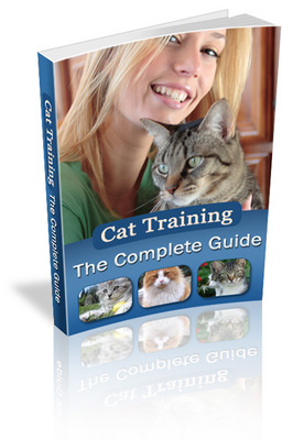 Product picture The Complete Guide to Cat Training (MRR)