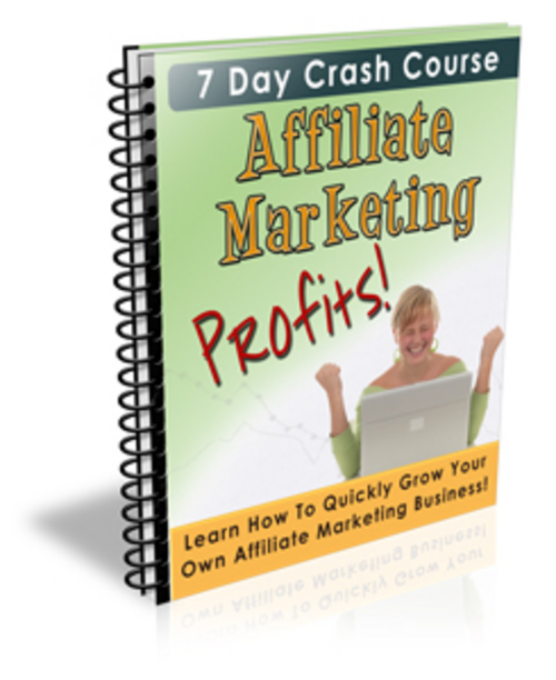 Product picture Affiliate Marketing Profits (PLR).rar
