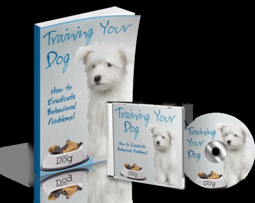 Product picture Training Your Dog  eBook and Audio (MRR)