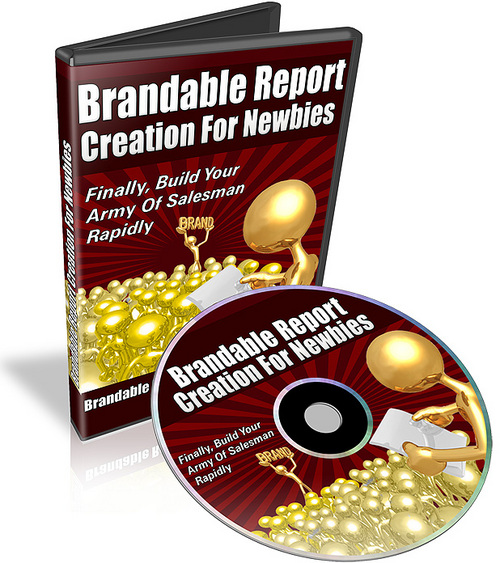 Product picture Brandable Report Creation For Newbies With Mrr.rar